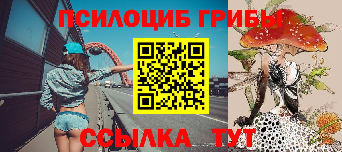 Галлюциногенные грибы Cubensis Сорочинск